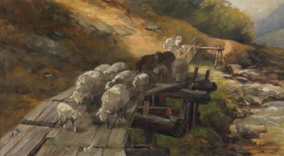 Sheep Crossing a River by Christian Mali